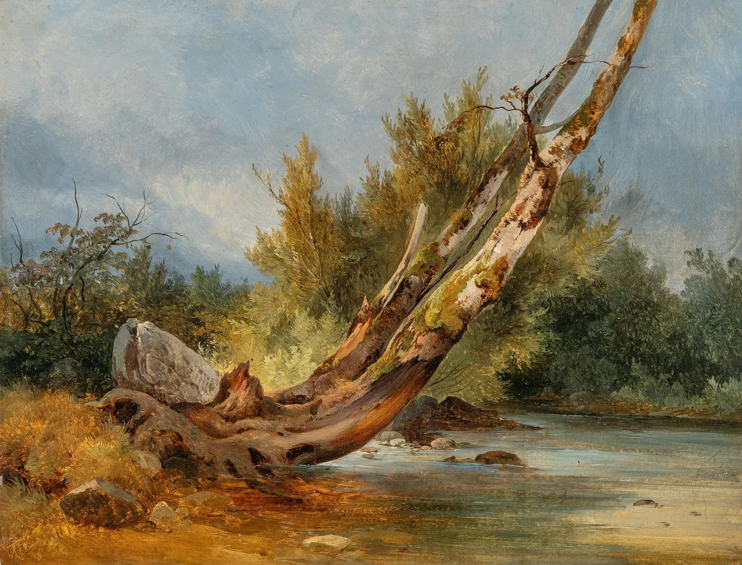 Uprooted tree by the water, 1854